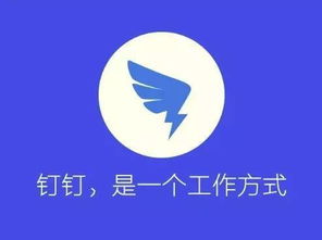 科技與金融的雙重奏 網易養豬眾籌與閱文上市背后的公關邏輯